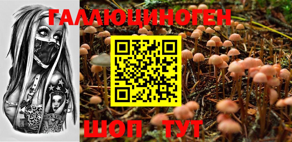 Псилоцибиновые грибы MAGIC MUSHROOMS Нальчик